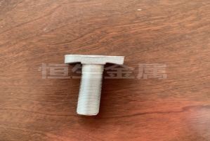 T型螺栓